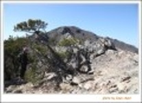 산행기 - 신불산(1208.9m)