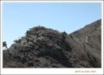 산행기 - 신불산(1208.9m)