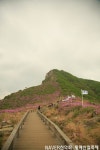 황매산 철쭉제 도보걷기 여행 ^^ | 네이트 판 황매산 철쭉제 도보걷기 여행 ^^  | 네이트 판