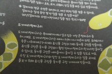 [코끼리님의 서재] : 알라딘