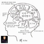 잭바우어와 스코필드의 뇌구조 | 네이트 판
