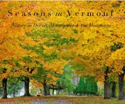 S e a s o n s in V e r m o n t Nature in Dorset, Manchester & the Mountains by Laurie Devine: Fine Art Photography | Blurb Books... 