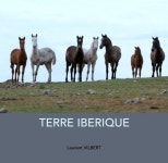 SADEK le retour au Maroc by Photographies Laurent VILBERT: Arts & Photography | Blurb Books SADEK le retour au Maroc