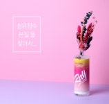레이펄스 섬유 향수500ml - 붐스타일 레이펄스 섬유 향수500ml