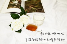 텐바이텐 10X10 : 슬리핑 뷰티[아로마테라피 같은 카모마일 허브티]