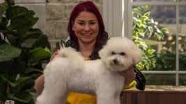 Whats new BBC show Pooch Perfect all about? - CBBC Newsround