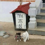 (대기자료) 층간소음 개18 - 행복한 유머, 웃긴대학에 오셨습니다 !!