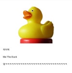 (대기자료) 오리가 자기소개할때 하는 말은?.jpg - 행복한 유머, 웃긴대학에 오셨습니다 !!