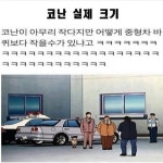 (대기자료) 코난 실제 크기.jpg - 행복한 유머, 웃긴대학에 오셨습니다 !!