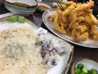 (요리) 대구 신천 오징어횟집.. - 행복한 유머, 웃긴대학에 오셨습니다 !!