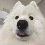 (대기자료) 피시방알바생인데 나도 좀 무섭다 ,,^^ - 행복한 유머, 웃긴대학에 오셨습니다 !!