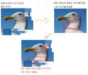 클리앙 > 아무거나질문 > 여럿으로 쪼개진 이미지 편집 방법 또는 프로그램 문의