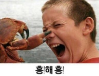 클리앙 > 모두의공원 > 게 : 흥!해 흥! jpg