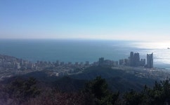 뽐뿌:등산포럼 - 2월 23일(토) 내일 부산지역 장산 가실분 계시면 꼬리주세요..^^ 2월 23일(토) 내일 부산지역 장산 가실분 계시면 꼬리주세요..^^