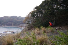 뽐뿌:등산포럼 - 경상방 대마도 우동 먹벙기 경상방 대마도 우동 먹벙기