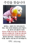 뽐뿌:동식물포럼 - [도봉구] 유기견 구조중...+후기2편[도봉구] 유기견 구조중...+후기2편