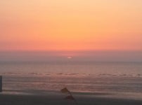 뽐뿌:캠핑포럼 - 처음? 작성하는 캠핑후기? ㅋㅋㅋ  -  고창 구시포 해수욕장 처음? 작성하는 캠핑후기? ㅋㅋㅋ  -  고창 구시포 해수욕장