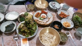 뽐뿌:자유갤러리 - 군산 은파유원지 군산 은파유원지