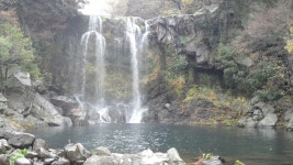 뽐뿌:자유갤러리 - 천제연 폭포 천제연 폭포