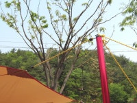 뽐뿌:캠핑포럼 - 울산 입화산 참살이숲 캠핑장 당일치기~;; 울산 입화산 참살이숲 캠핑장 당일치기~;;