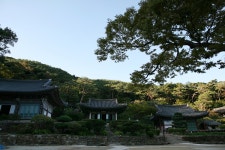 강화도 전등사에서 빼꼼.....뽐뿌:사진/카메라 - 강화도 전등사에서 빼꼼.....