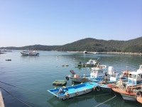 뽐뿌:낚시포럼 - 오천항 왔습니다~^^ 오천항 왔습니다~^^