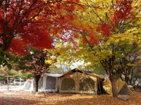 뽐뿌:캠핑포럼 - 안녕.... 에브라임 캠핑장..... 안녕.... 에브라임 캠핑장.....