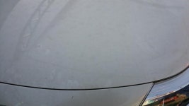 뽐뿌:자동차포럼 - 세차기념샷! 세차기념샷!