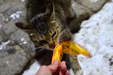 뽐뿌:등산포럼 - 15. 2.20 태백산(유일사-천제단-당골) 15. 2.20 태백산(유일사-천제단-당골)