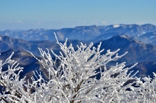뽐뿌:등산포럼 - 15. 2.20 태백산(유일사-천제단-당골) 15. 2.20 태백산(유일사-천제단-당골)
