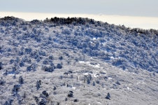 뽐뿌:등산포럼 - 15. 2.20 태백산(유일사-천제단-당골) 15. 2.20 태백산(유일사-천제단-당골)