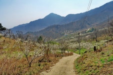 뽐뿌:등산포럼 - [100대명산-48번째 이야기] 남도의 매화향기를 간직한 백운산 [100대명산-48번째 이야기] 남도의 매화향기를 간직한 백운산
