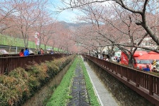 뽐뿌:등산포럼 - 3/28 거제 대금산. 아직 이른 진달래 3/28 거제 대금산. 아직 이른 진달래