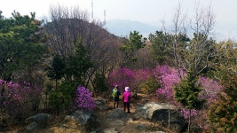 뽐뿌:등산포럼 - [부산 등포님들 추천하는 산] 봉래산 다녀 왔습니다..... 태종대까지 [부산 등포님들 추천하는 산] 봉래산 다녀 왔습니다........ 