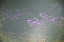 뽐뿌:등산포럼 - 백두대간(큰재-신의터재)산행후기 백두대간(큰재-신의터재)산행후기