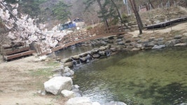 뽐뿌:캠핑포럼 - 오늘은 오도산 자연휴양림 입니다..^^ 오늘은 오도산 자연휴양림 입니다..^^