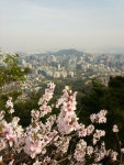 뽐뿌:등산포럼 - 인왕산 간단한 산행. 독립문역쪽. 인왕산 간단한 산행. 독립문역쪽.