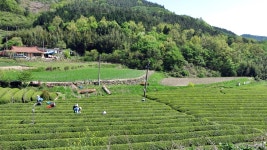 순천-보성-고흥 2박3일 투어 라이딩 사진 후기(사진多)뽐뿌:자전거포럼 - 순천-보성-고흥 2박3일 투어 라이딩 사진 후기(사진多)