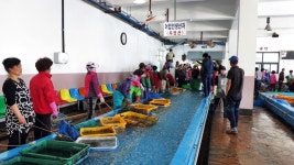 뽐뿌:자전거포럼 - 순천-보성-고흥 2박3일 투어 라이딩 사진 후기(사진多)순천-보성-고흥 2박3일 투어 라이딩 사진 후기(사진多)