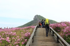 뽐뿌:등산포럼 - 5/9 철쭉이 한창인 황매산 후기 5/9 철쭉이 한창인 황매산 후기