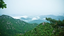 뽐뿌:등산포럼 - 비오던 월요일 가야산 산행 후기... 비오던 월요일 가야산 산행 후기...