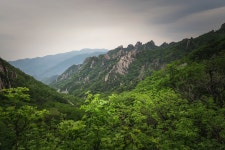뽐뿌:등산포럼 - [100대명산-52차인증] 명산의 끝판왕 - 설악산 과 공룡능선 -1 [100대명산-52차인증] 명산의 끝판왕 - 설악산 과 공룡능선 -1