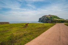 뽐뿌:등산포럼 - 제주 올레길 1코스 제주 올레길 1코스