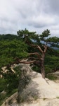 뽐뿌:등산포럼 - 8/9 산행 늦은 용화산 후기 입니다.^^;; 8/9 산행 늦은 용화산 후기 입니다.^^;;