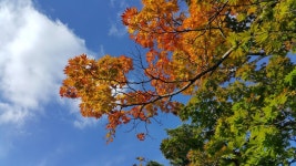 뽐뿌:등산포럼 - 지리산에서 하루 자고왔어요 지리산에서 하루 자고왔어요