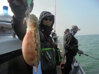 뽐뿌:낚시포럼 - 마지막 갑이사냥 갑니다 마지막 갑이사냥 갑니다