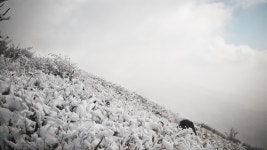 뽐뿌:등산포럼 - 오랜만에 다녀온 원정산행..장수 장안산 산행보고 합니다..^^ 오랜만에 다녀온 원정산행..장수 장안산 산행보고 합니다..^^