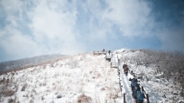 뽐뿌:등산포럼 - 오랜만에 다녀온 원정산행..장수 장안산 산행보고 합니다..^^ 오랜만에 다녀온 원정산행..장수 장안산 산행보고 합니다..^^