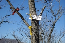 뽐뿌:등산포럼 - 오르락 내리락 신나게 걸어본 안강 자도봉어 환종주(자옥산-도덕산-봉좌산-어래산) 2016년 2월 10일 오르락 내리락 신나게... 