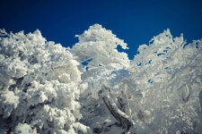 뽐뿌:등산포럼 - [몇차이던가?] 설산의 끝을 보다!    덕유산 (동업령 - 중봉 -향적봉 - 삼공리) [몇차이던가?] 설산의 끝을 보다!    덕유산 (동업령... 